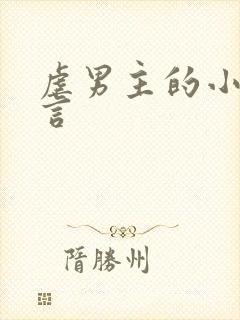 虐男主的小说古言