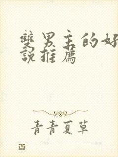 双男主的好看小说推荐