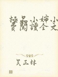 极品小婶小说免费阅读全文