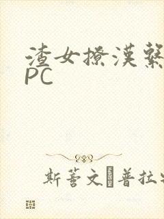 渣女撩汉系统NPC