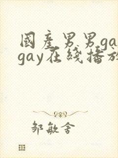 国产男男gaygay在线播放