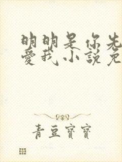 明明是你先说的爱我小说免费阅读封面