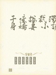 千亿总裁独宠替身娇妻 小说完整