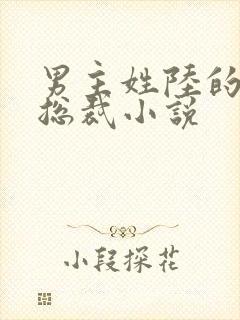 男主姓陆的豪门总裁小说封面