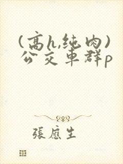 (高h,纯肉)公交车群p