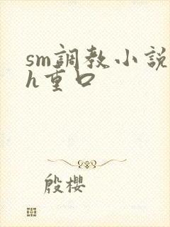 sm调教小说高h重口封面