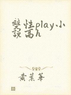 双性play小说高h