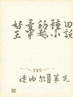 好看的种田文女主穿越小说