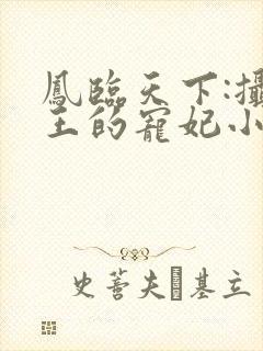 凤临天下:摄政王的宠妃小说