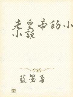 老皇帝的小嫩妻小说