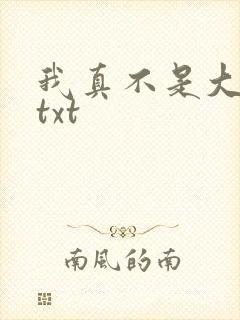 我真不是大佬 txt封面
