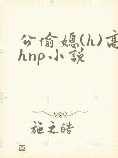 公偷媳(h)高hnp小说