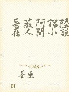 采薇阿铭陆三平在人间小说