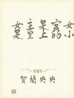 女主是宫女男主是皇上的小说