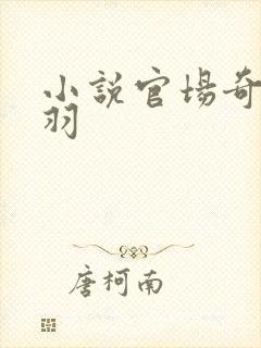 小说官场奇才陆羽封面