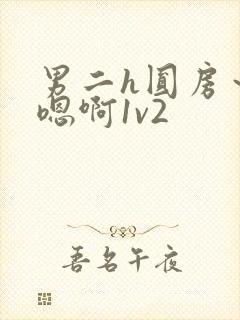 男二h圆房～h嗯啊1v2