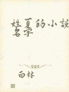 姓夏的小说女主名字