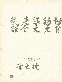 我老婆的秘密小说全文免费阅读