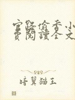 官路偷香小说免费阅读全文最新章节