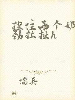 捏住两个奶头使劲拉扯h