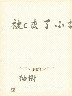 被c爽了小说