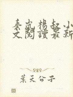 秦岚杨叔小说全文阅读最新章节