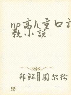 np高h重口调教小说