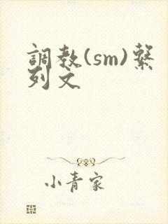 调教(sm)系列文封面