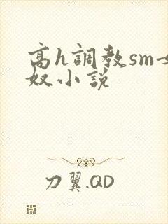 高h调教sm女奴小说