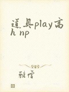 道具play高h np