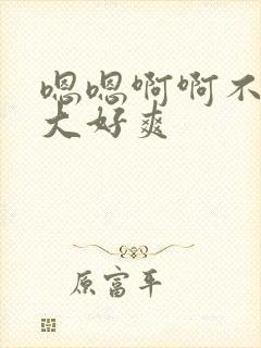 嗯嗯啊啊不要好大好爽封面