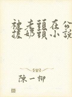 被老头在公园揉搓奶头小说