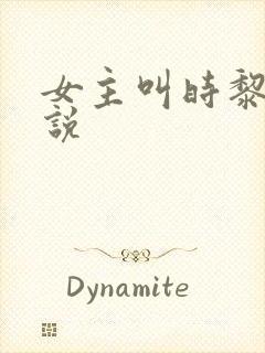 女主叫时黎的小说