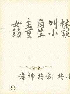 女主角叫林清婉的重生小说封面