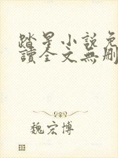 踏星小说免费阅读全文无删减封面