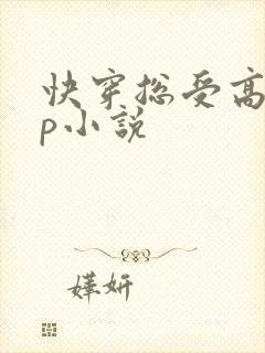 快穿总受高hnp小说封面