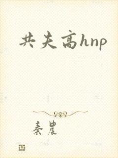 共夫高hnp