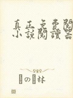 真正免费阅读的小说阅读器