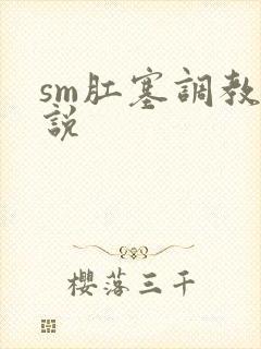 sm肛塞调教小说