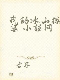 我的冰山总裁老婆 小说网