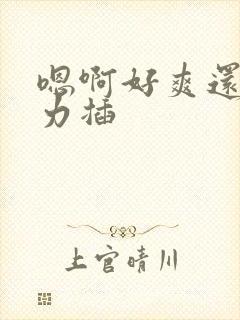 嗯啊好爽还要用力插