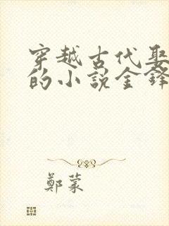 穿越古代娶媳妇的小说金锋