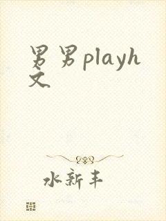 男男playh文