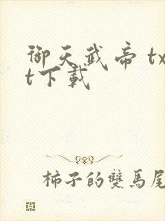 御天武帝 txt下载