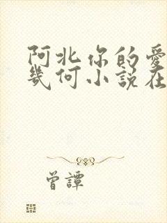 阿北你的爱价值几何小说在线阅读封面