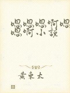 嗯嗯嗯啊嗯嗯啊嗯啊小说封面