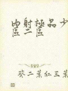 内射极品少妇一区二区