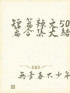 短篇辣文500篇合集大结局小说