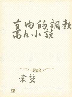 有肉的调教np高h小说