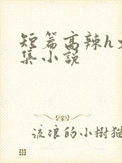 短篇高辣h文合集小说封面